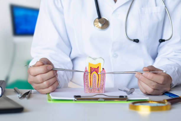Best Emergency Dental Services for Seniors in Greenacres, CA